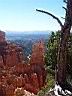 Bryce Canyon 04